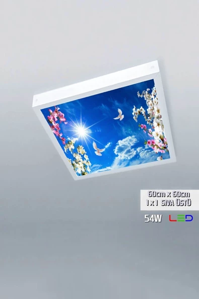 Gökyüzü Panel 1x1-tekli-60x60-tavana Yapışık Led Panel-54w-sıva Üstü Avize-kolay Montaj-kuşlu- Led ürün görseli 1