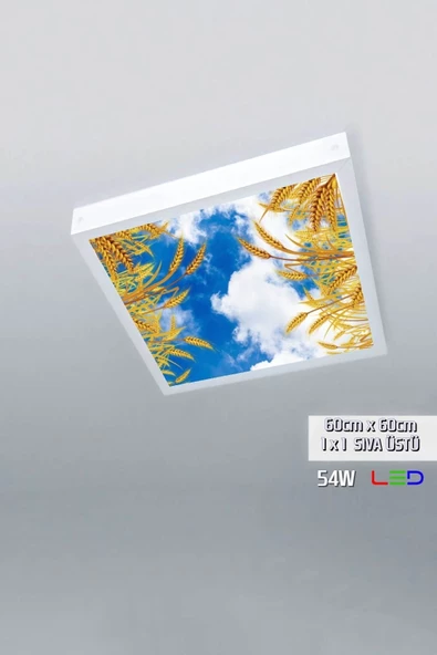 Gökyüzü Panel 1x1-tekli-60x60-tavana Yapışık Led Panel-54w-sıva Üstü Evize-kolay Montaj-buğday- Led ürün görseli 1