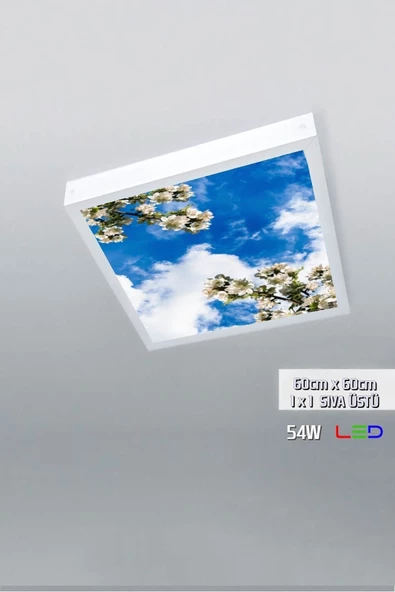 Gökyüzü Panel 1x1-tekli-60x60-tavana Yapışık Led Panel-54w-sıva Üstü-kolay Montaj-erik Dalları- Led ürün görseli 1