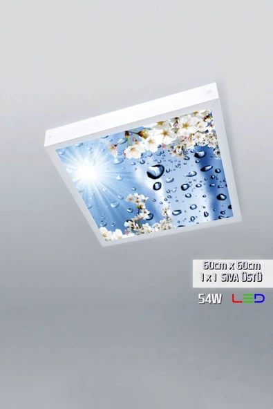 Gökyüzü Panel 1x1-tekli-60x60-tavana Yapışık Led Panel-54w-sıva Üstü Evize-kolay Montaj-damlalı- Led ürün görseli 1