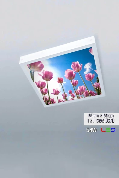 Gökyüzü Panel 1x1-tekli-60x60-tavana Yapışık Led Panel-54w-sıva Üstü Avize-kolay Montaj-çiçekli- Led ürün görseli 1