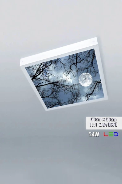 Gökyüzü Panel 1x1-tekli-60x60-tavana Yapışık Led Panel-54w-sıva Üstü Avize-kolay Montaj-ay Işığı- Led ürün görseli 1