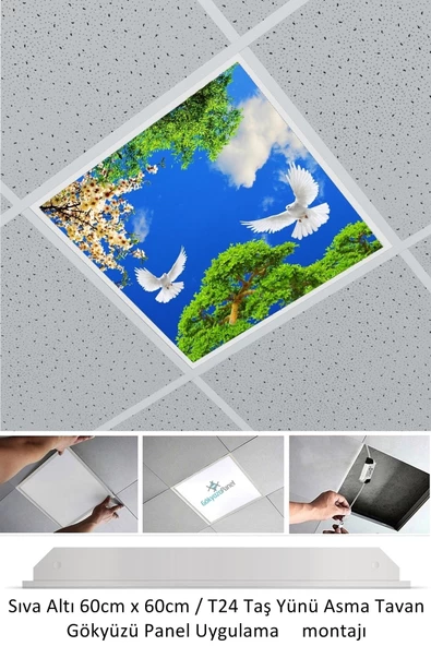 Gökyüzü Panel Asma Tavan-60cmx60cm-sıva Altı-54w-6500k-beyaz-led Panel-led Armatür- 60x60 Taş Yünü Asma Tavan -led ürün görseli 1