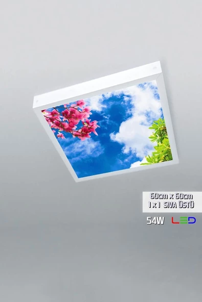 Gökyüzü Panel 1x1-tekli-60x60-tavana Yapışık Led Panel-54w-sıva Üstü-kolay Montaj-renkli Hava- Led ürün görseli 1