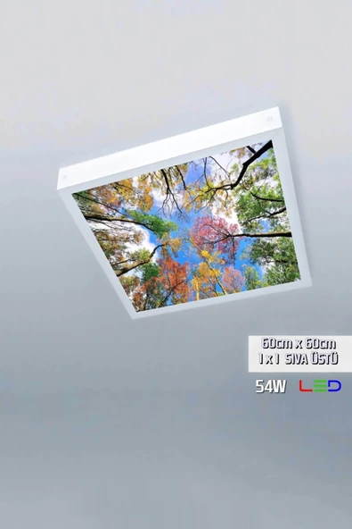 Gökyüzü Panel 1x1-tekli-60x60-tavana Yapışık Led Panel-54w-sıva Üstü Led-kolay Montaj-sonbahar-- Led ürün görseli 1