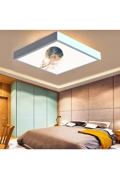 Gökyüzü Panel Dolunay Tasarım-modern Avize-60x60 Ledli-tavan Avize--54watt-tavana Yapışık Lamba-yatak Odası Avize- ürün görseli 1