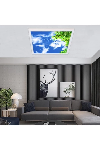 Gökyüzü Panel Hd Led Aydınlatma - 54watt - 60cm X 60cm - Ev Avize -tavana Yapışık Model- Kolay Montaj Avize ürün görseli 1