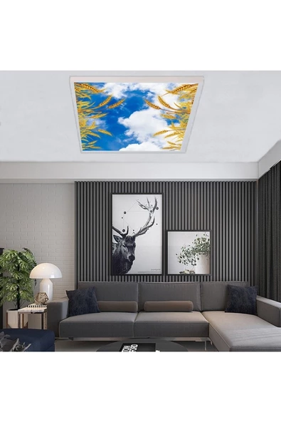 Gökyüzü Panel Salon Avize Modeli - 54watt Aydınlatma -60cmx60cm -led Işık Avize- Baskılı Tasarım-tavana Yapışık ürün görseli 1