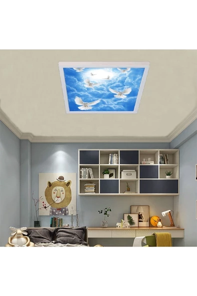 Gökyüzü Panel 54watt-güçlü Işık-modern Tasarım-60x60 54w Ledli Tavan Avize-kuş Cenneti-tavana Yapışık Salon Avize ürün görseli 1