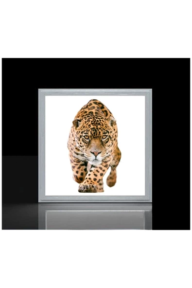 Gökyüzü Panel Leopar Led Avize 60cmx 60xm Büyük Kare-54w Güçlü Işık 30m2 Alan Aydınlatır- Sıva Üstü Kolay Montaj ürün görseli 1