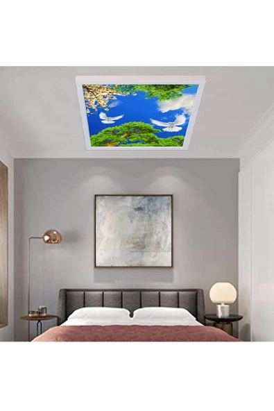 Gökyüzü Panel Led 60x60 Büyük Model Hd Baskılı-trendyol Avize-ev-banyo-salon Avize Modelleri-54watt-tavana Model ürün görseli 1