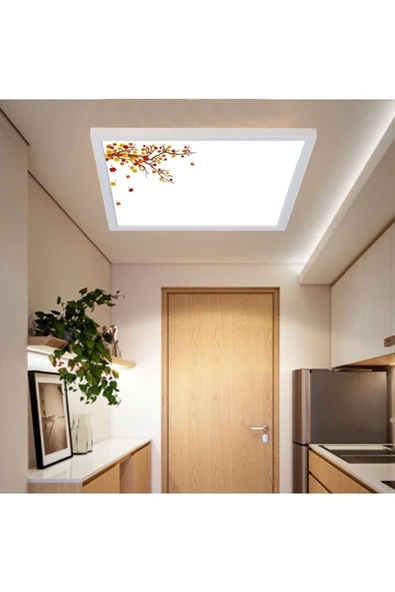 Gökyüzü Panel 54watt-güçlü Işık-özel Tasarım-60x60 Ledli Koridor Tavan Avize-tavana Yapışık Yatak Odası Led Avize ürün görseli 1