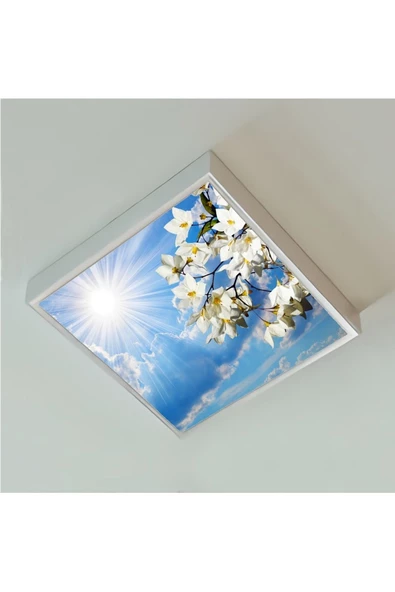 Gökyüzü Panel 60x60 Led-54watt-trendyol Avize-yatak Odası-tavan Avize-beyaz-tavana Yapışık Model-salon Avize ürün görseli 1