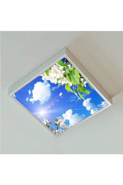 Gökyüzü Panel 60x60 Ledli-trendyol Avize-bulutlu Çiçekler Tavan Avize-54watt-tavana Yapışık Lamba-salon Avize ürün görseli 1