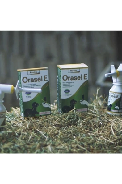 Orasel E 100 Cc - Resim 2