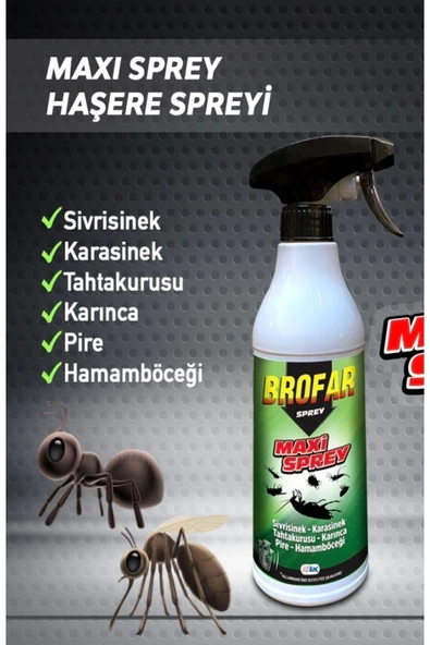 Böcek Ilacı Maxi Sprey - Resim 2