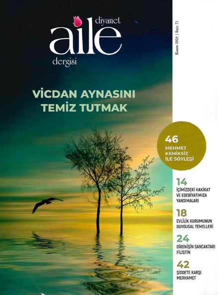 Diyanet Aile Dergi 71.Sayı Kasım 2024 ürün görseli 1