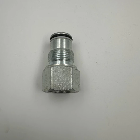 120 LT CARRY OVER - Resim 6