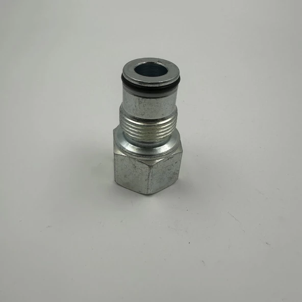 120 LT CARRY OVER - Resim 2