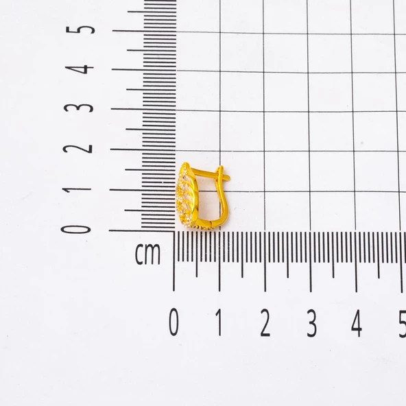 Sarmaşık Model 14 Ayar Altın Küpe - Resim 6