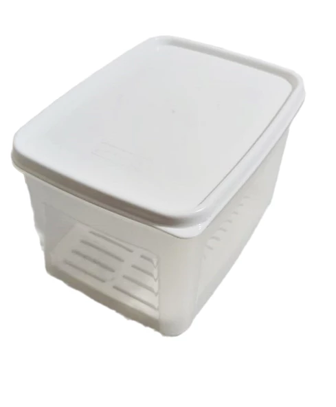 Geseus Moonstar Süzgeçli Peynir Saklama Kabı 2 Litre BPA FREE-MS06 ürün görseli 1