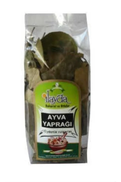 İlayda Ayva Yaprağı ürün görseli 1