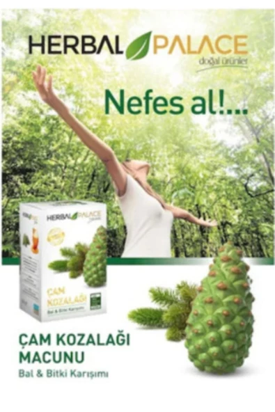 Herbal Palace Çam Kozalağı Macunu (bal Bitki Karışımı) Nhr... ürün görseli 1