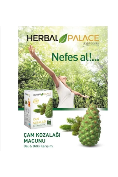 Herbal Palace Çam Kozalağı Macunu Bal Bitki Karışımı 240gr ürün görseli 1