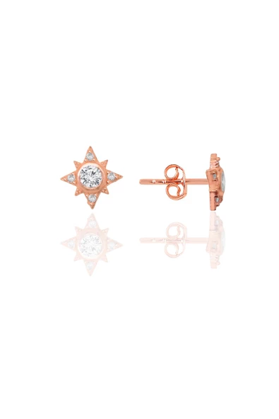 Gümüş rose zirkon taşlı kuzey ışığı kadın küpe SGTL12658ROSE ürün görseli 1