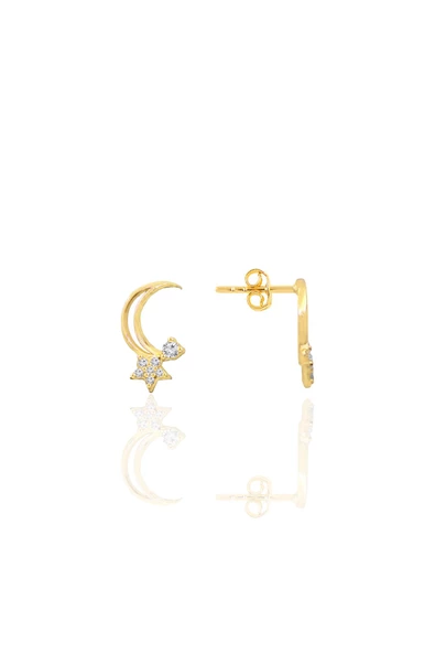 Gümüş altın yaldızlı zirkon taşlı hilal yıldızı kadın küpe SGTL12656GOLD ürün görseli 1