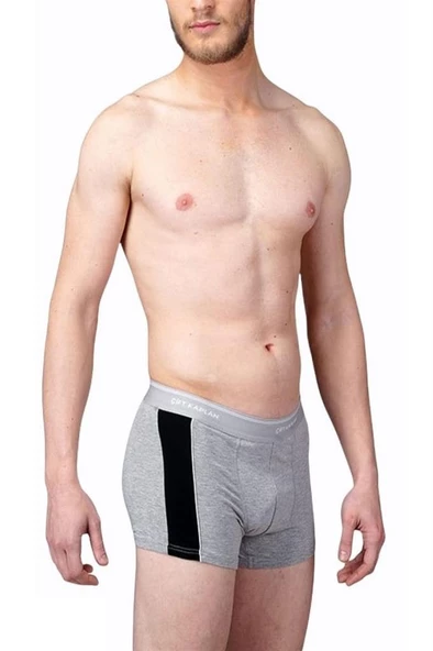 Çift Kaplan 850 Biyeli Pamuklu Elastanlı Erkek Boxer - Resim 6