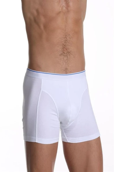 Çift Kaplan 889 Elastanlı Erkek Boxer - Resim 2