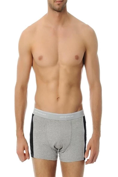 Çift Kaplan 850 Biyeli Pamuklu Elastanlı Erkek Boxer - Resim 7