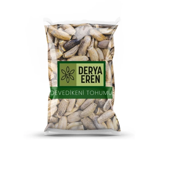 Deve Dikeni Tohumu (Silybum Marianum) Devedikeni 1 kg, Derya Eren ürün görseli 1