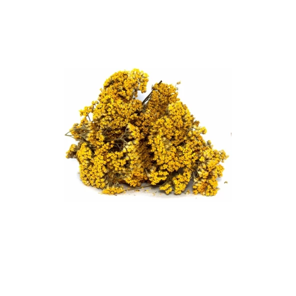 Civan Perçemi (Achillea millefolium) 250 gr, Derya Eren - Resim 2