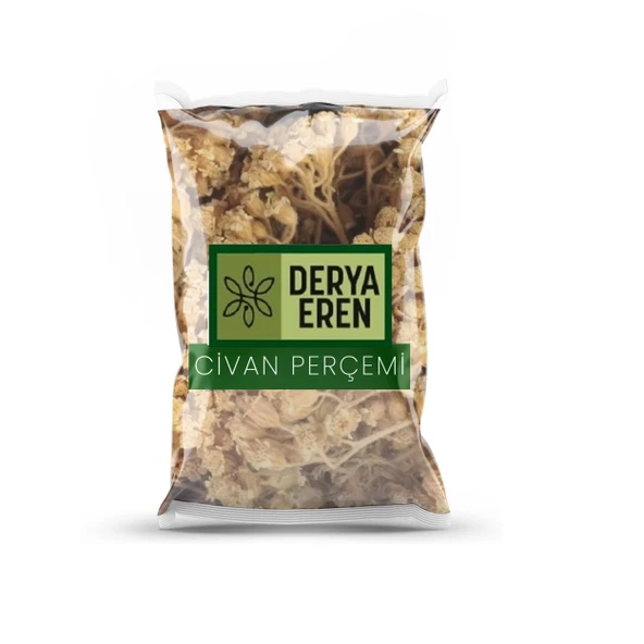Civan Perçemi (Achillea millefolium) 100 gr, Derya Eren ürün görseli 1