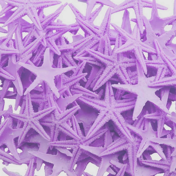 Polyester Deniz Yıldızı Minik Boy  0.5 CM- 1.5 CM (100 Adet)  Mor ürün görseli 1