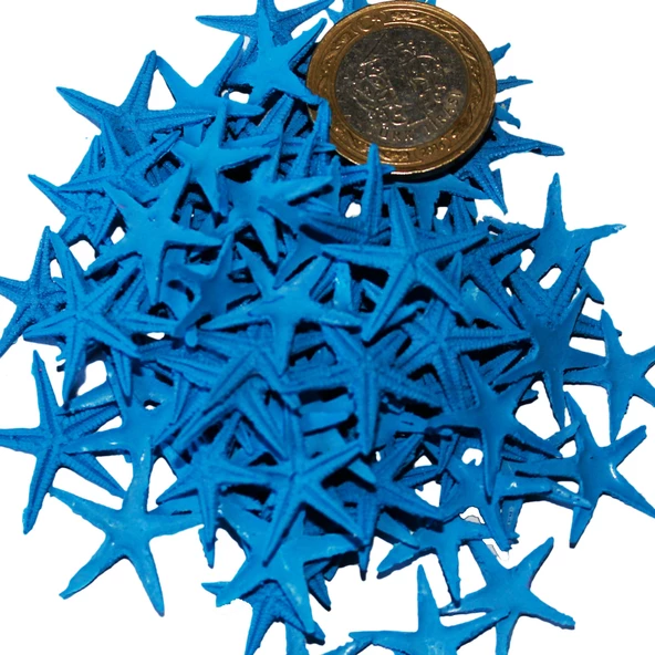 Polyester Deniz Yıldızı Minik Boy  0.5 CM- 1.5 CM (100 Adet)  Mavi ürün görseli 1