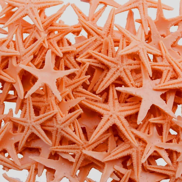 Polyester Deniz Yıldızı Minik Boy  0.5 CM- 1.5 CM (100 Adet)  Turuncu ürün görseli 1