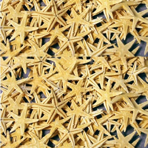 Naturel Deniz Yıldızı Minik Boy 0.5 Cm -1.5 Cm (100 Adet)  Natural ürün görseli 1