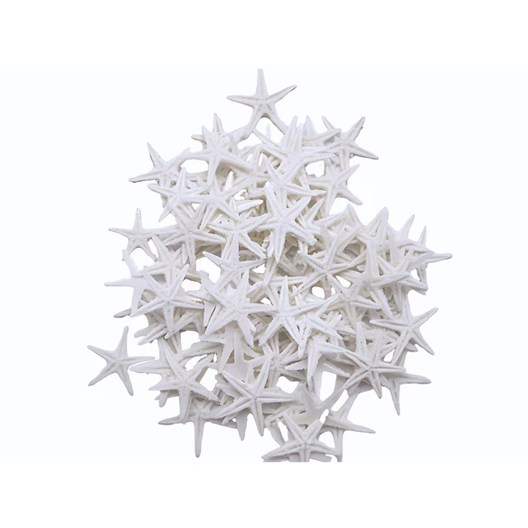 Polyester Deniz Yıldızı Minik Boy  0.5 CM- 1.5 CM (100 Adet)  Beyaz ürün görseli 1