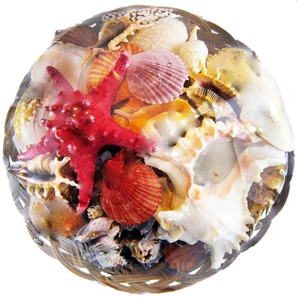 Fruit Of The Sea 35 CM ürün görseli 1