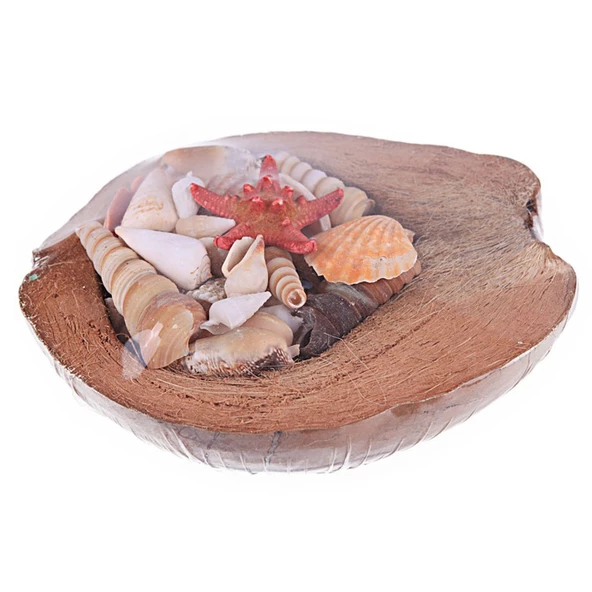 Coco Kabuk Sepeti 18-20 cm Arası ürün görseli 1