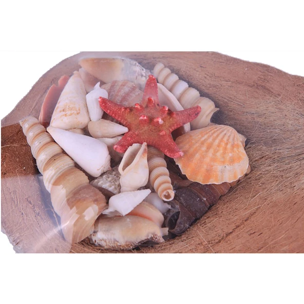 Coco Kabuk Sepeti 18-20 cm Arası - Resim 2