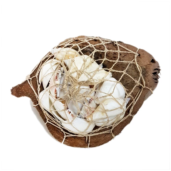 Coco Sepet Kabuk Beyaz Kabuk Yıldızlı ürün görseli 1