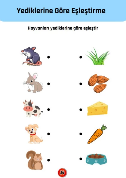 Okul Öncesi Eşleştirme Kitap Seti (YAZ-SİL) - Resim 4