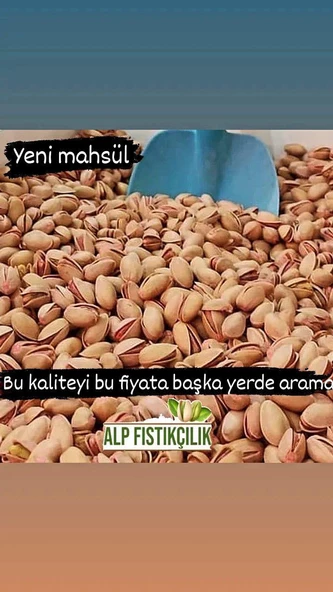3 kg Siirt fıstığı ürün görseli 1