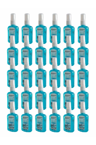 Aqua ( Okyanus ) Kolonyası -50 ml Sprey - (PET ŞİŞE) 30 Adet ürün görseli 1