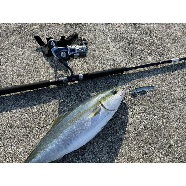 Apia Grandage Atlas Blue Runner 93HH+/JS 2.82m Plug 100gr - Jig 120gr Shore Jig Kamış ürün görseli 1