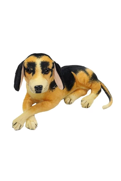 Sevimli PELUŞ SESLİ KÖPEK 30 CM - Uyku Ve Oyun Arkadaşı Peluş Oyuncak ürün görseli 1